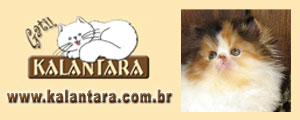 www.kalantara.com.br